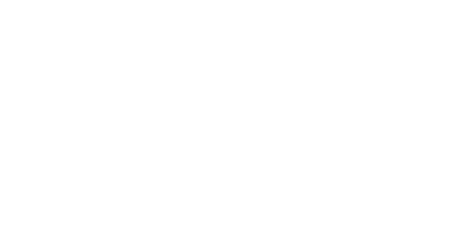 Logo son4d